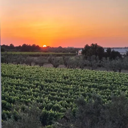 아파트 Casaamena 나르도