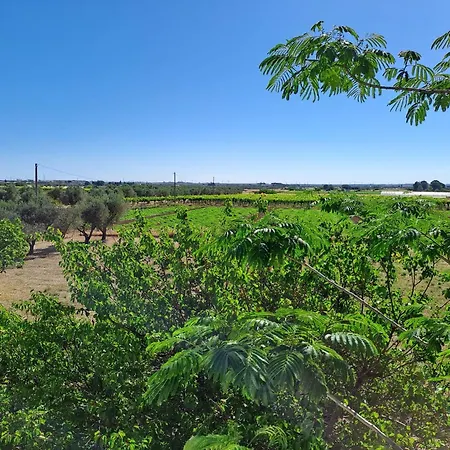 Apartamento Casaamena *