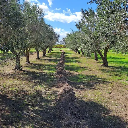 Casaamena Apartamento Nardò