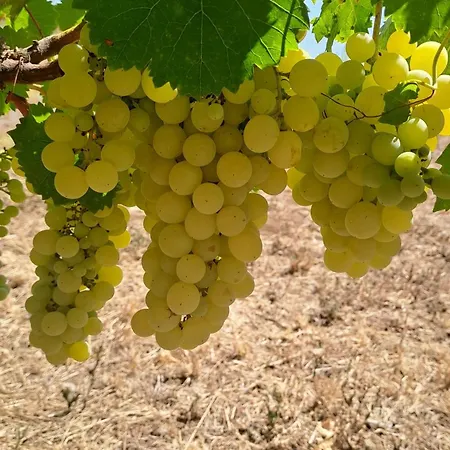 Apartamento Casaamena Nardò