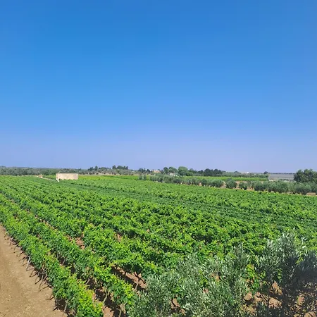 Casaamena Apartamento Nardò