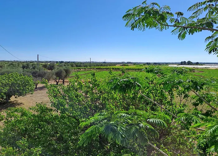 아파트 Casaamena *