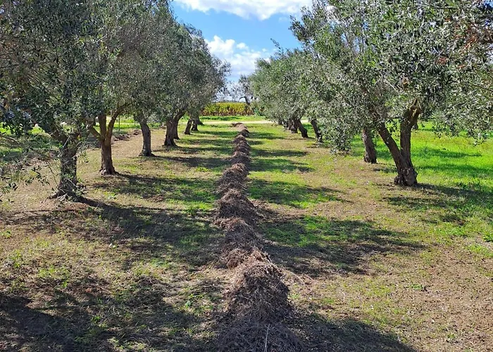 Casaamena 아파트 나르도