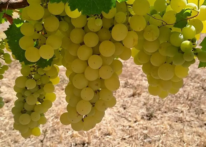 아파트 Casaamena 나르도