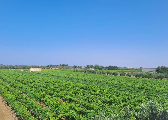 Casaamena 아파트 나르도